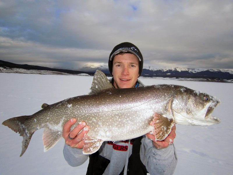 Taylor Lake trout