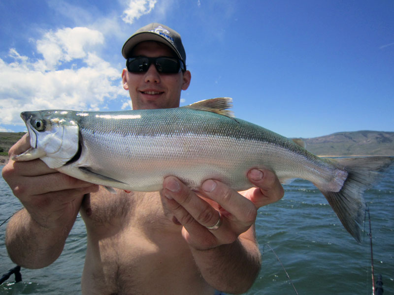  Blue Mesa kokanee salmon fishing!