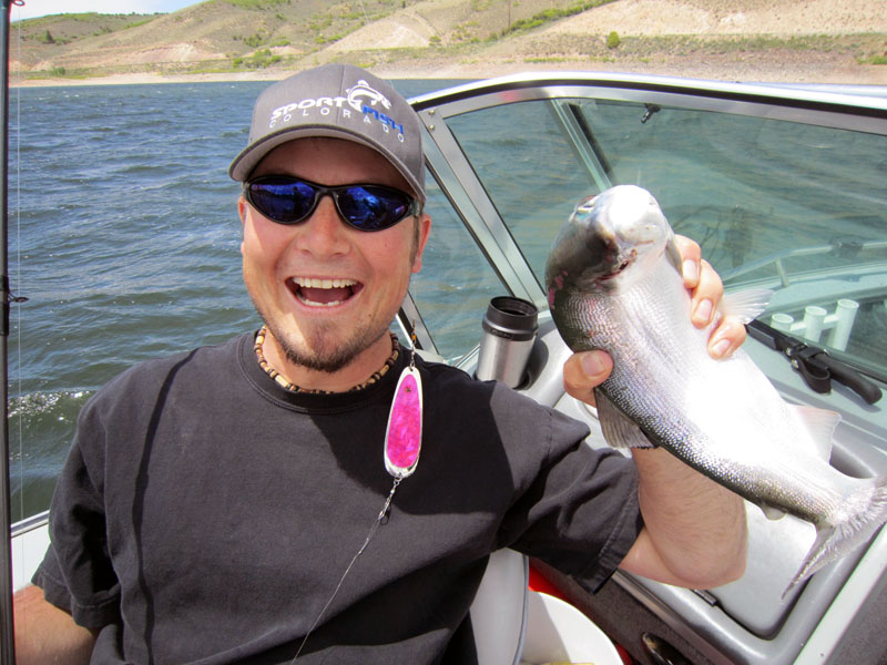  Blue Mesa kokanee salmon catch!