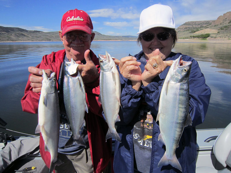  Blue Mesa reservoir kokanee salmon!