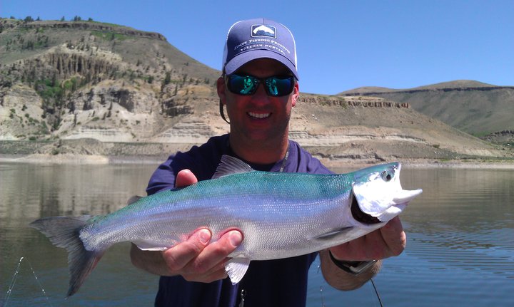  Gunnison River kokanee salmon double!