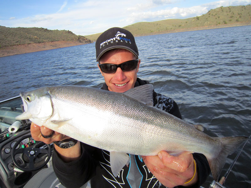  Blue Mesa Rainbow trout!