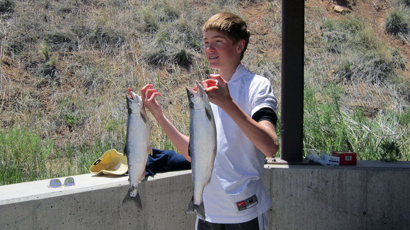  trophy blue mesa salmon catch!