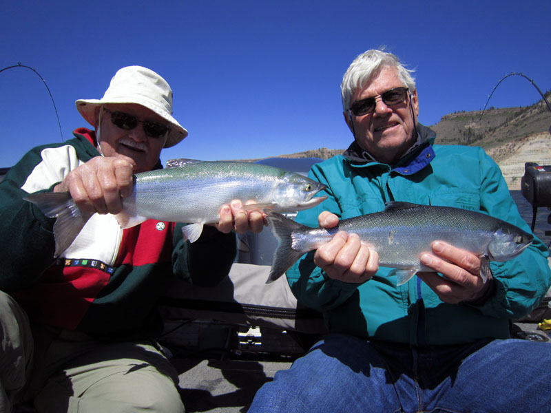  Blue Mesa kokanee salmon anglers!