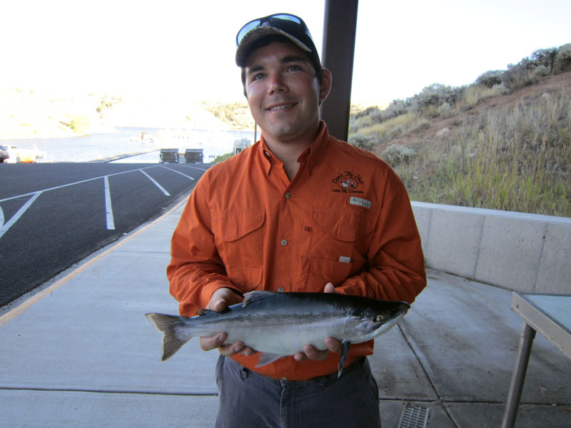  Blue Mesa Kokanee salmon catch!