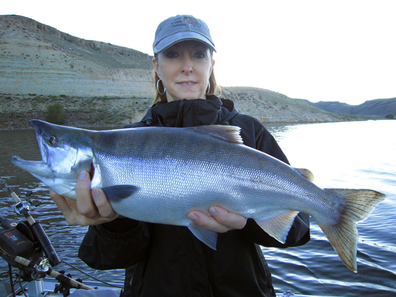  Colorado salmon fishing!